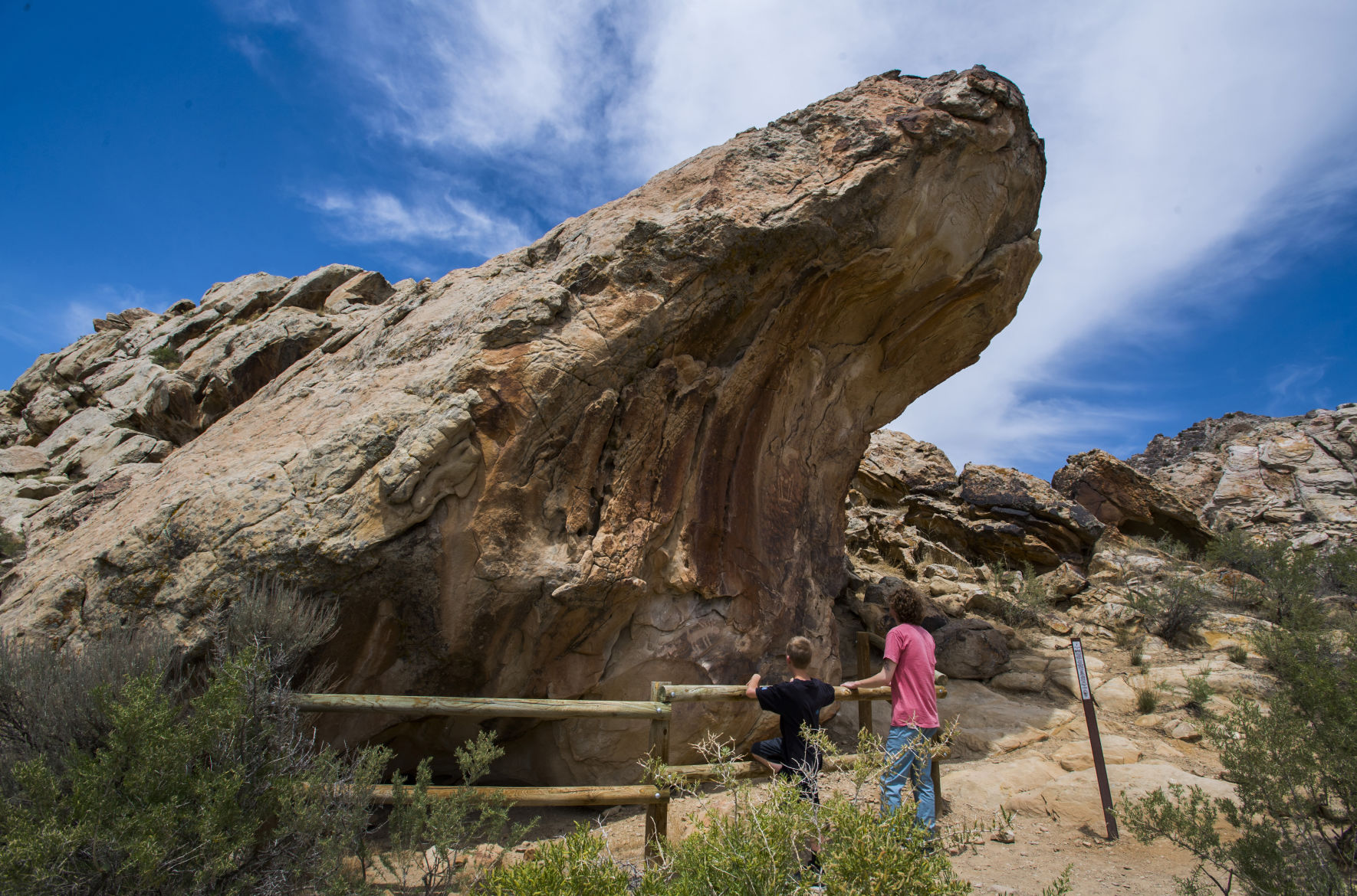 Lessons from Colorado's ultimate dinosaur graveyard